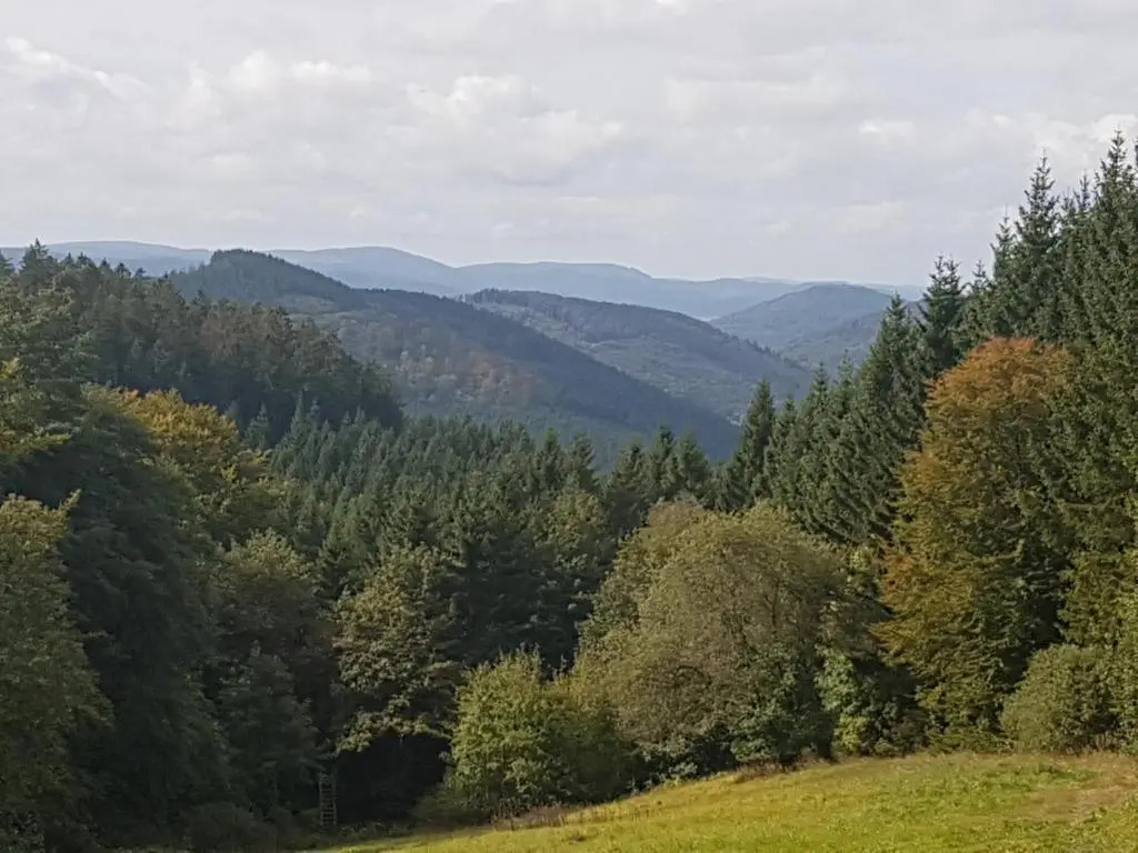 Ruime, gezellige vakantiewoning nabij Winterberg voor 2 tot 6 rustige natuurliefhebbers