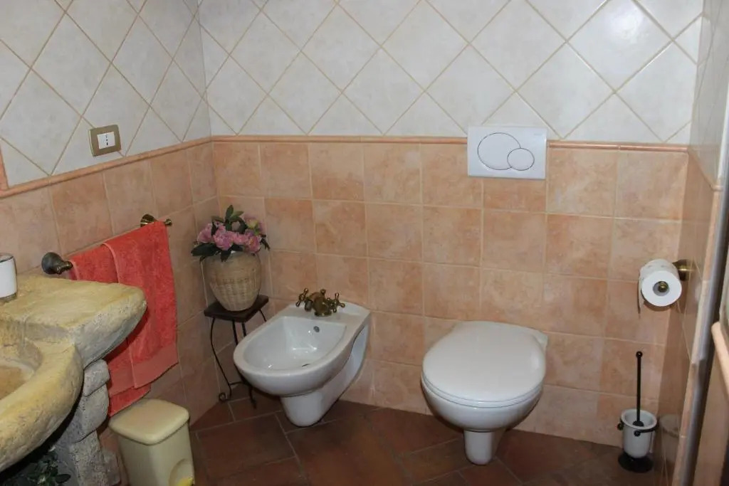 B&B Chorisia