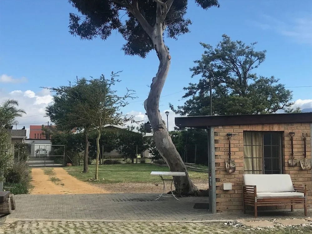 The Yard