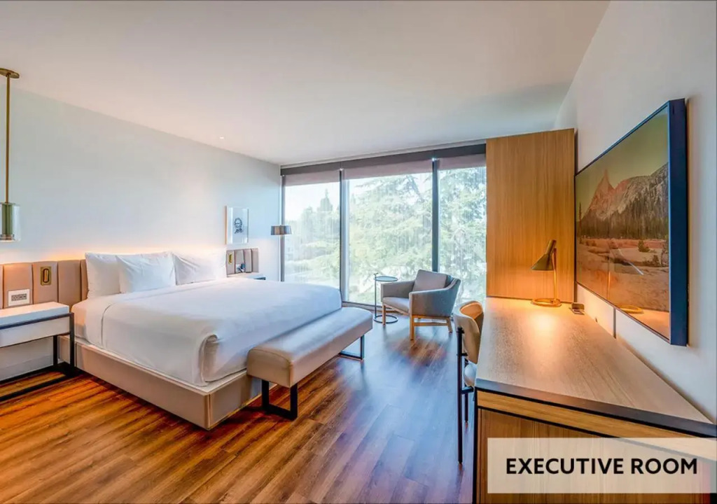 Shashi Hotel Mountain View Palo Alto