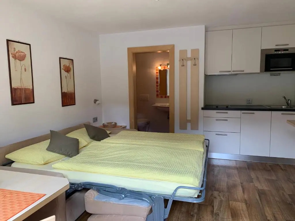 Apartments Soval