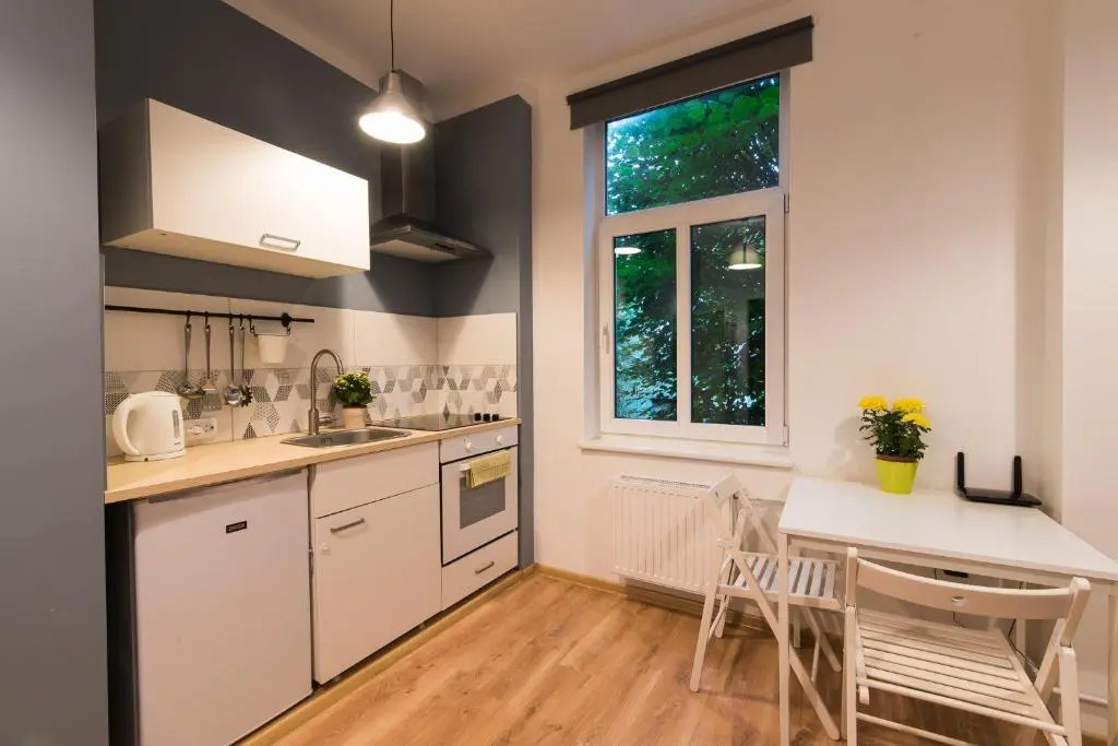 Light Studio Apartment