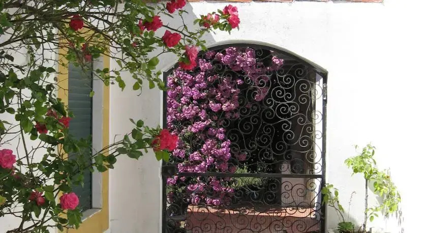 Sao Silvestre, Horse Farm