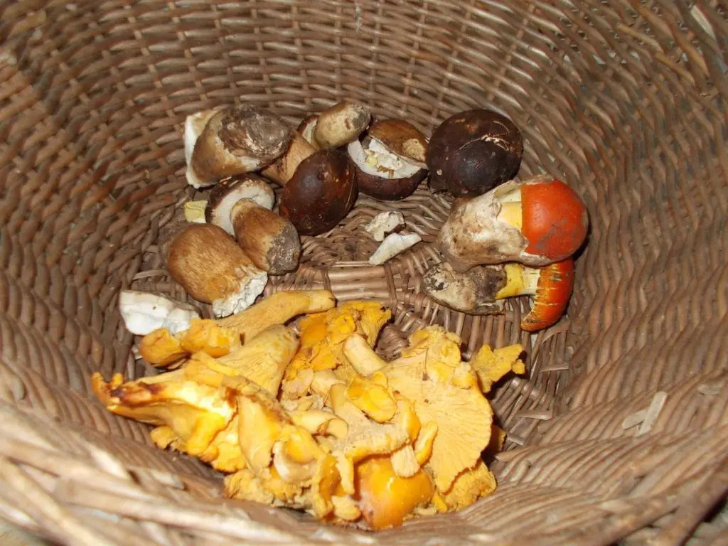 La Masseriola agriturismo
