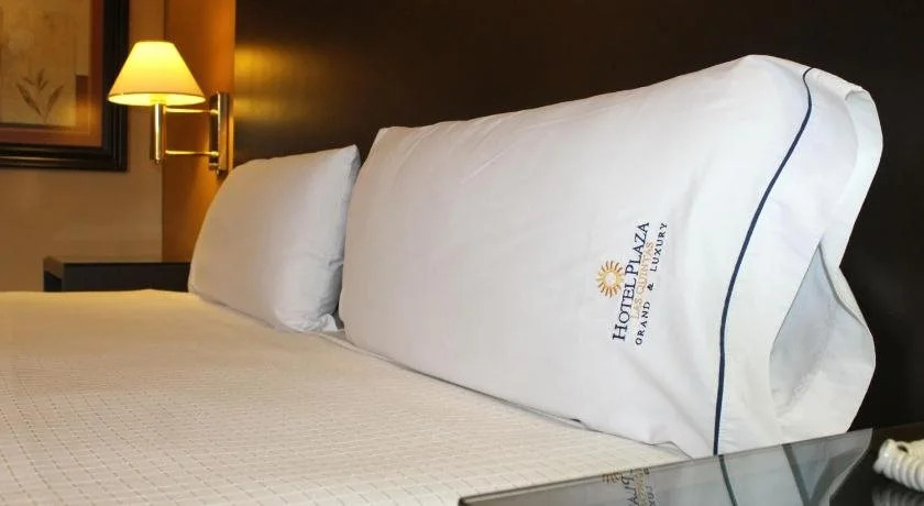 Hotel Plaza las Quintas