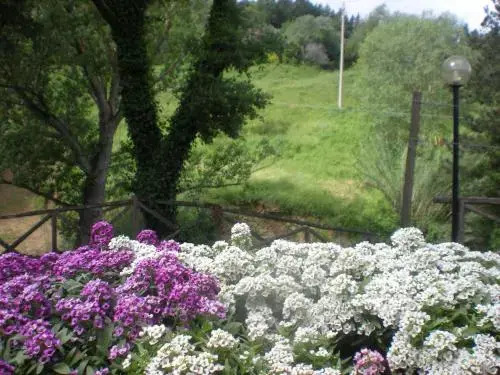 Agriturismo La Baroncella