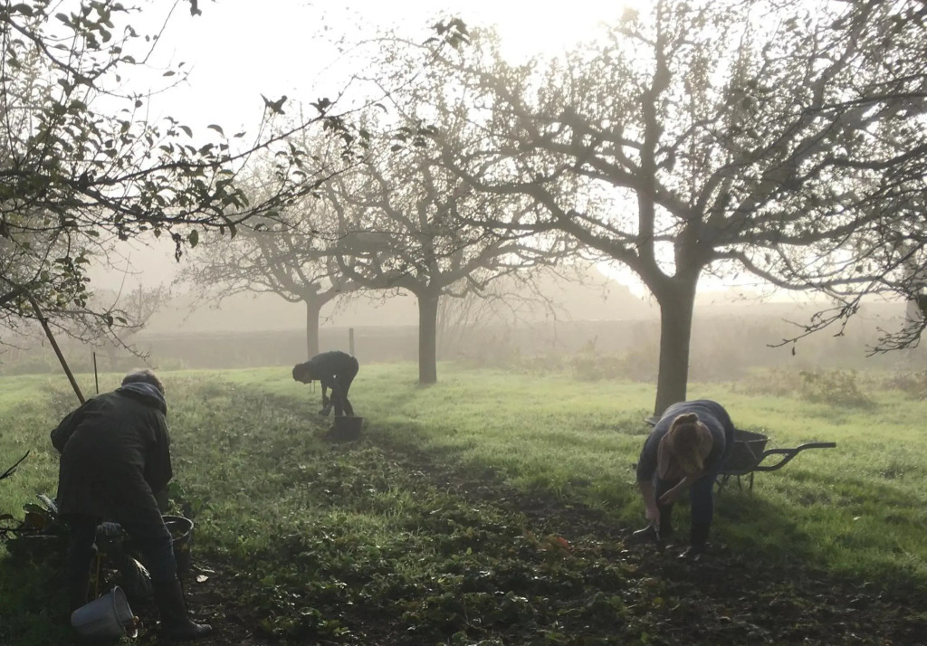 Warmoes tuinderswoning
