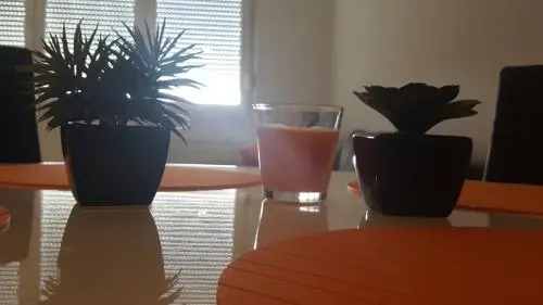 Arena1 Apartment