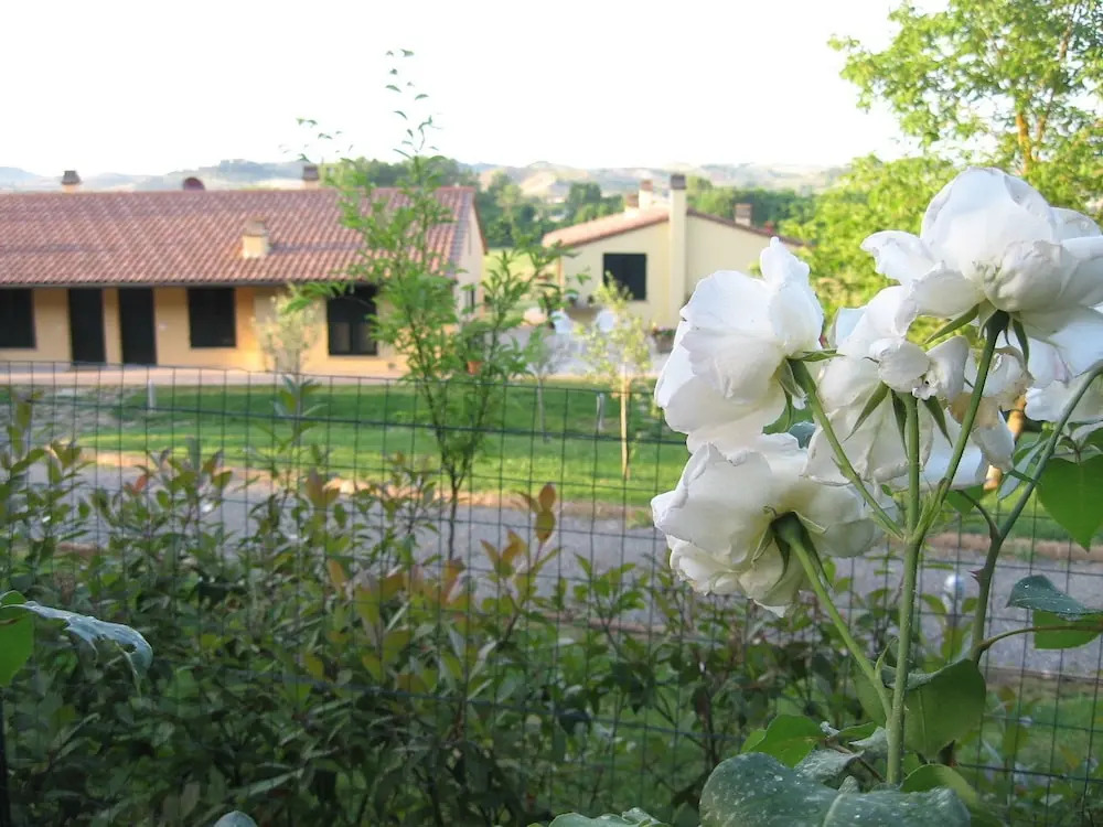 Podere Casalsole
