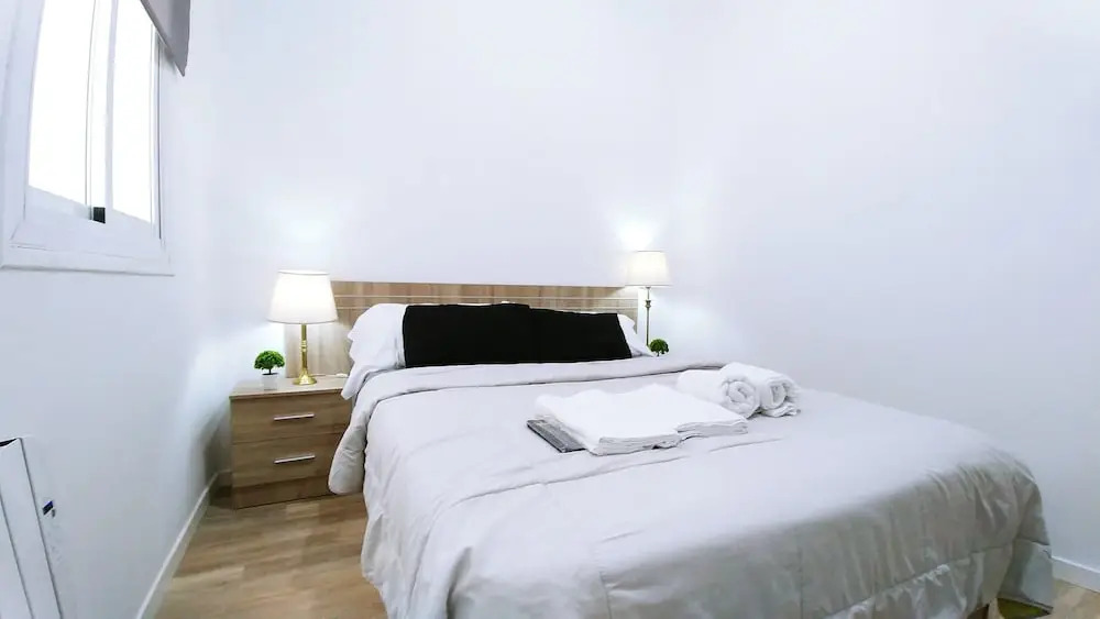 Luxury Flat Lavapies