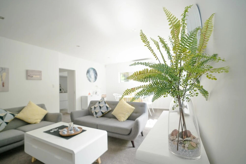 Castor Bay Premium Modern and Cosy 2 Bedroom Unit