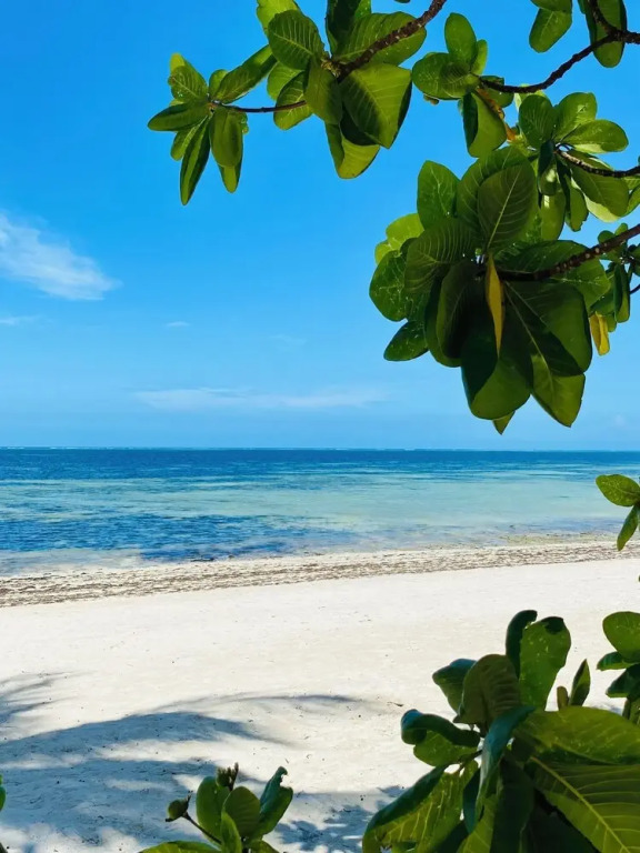 Luxury Lions Villas Zanzibar - with Private Cook&Infinity Pools