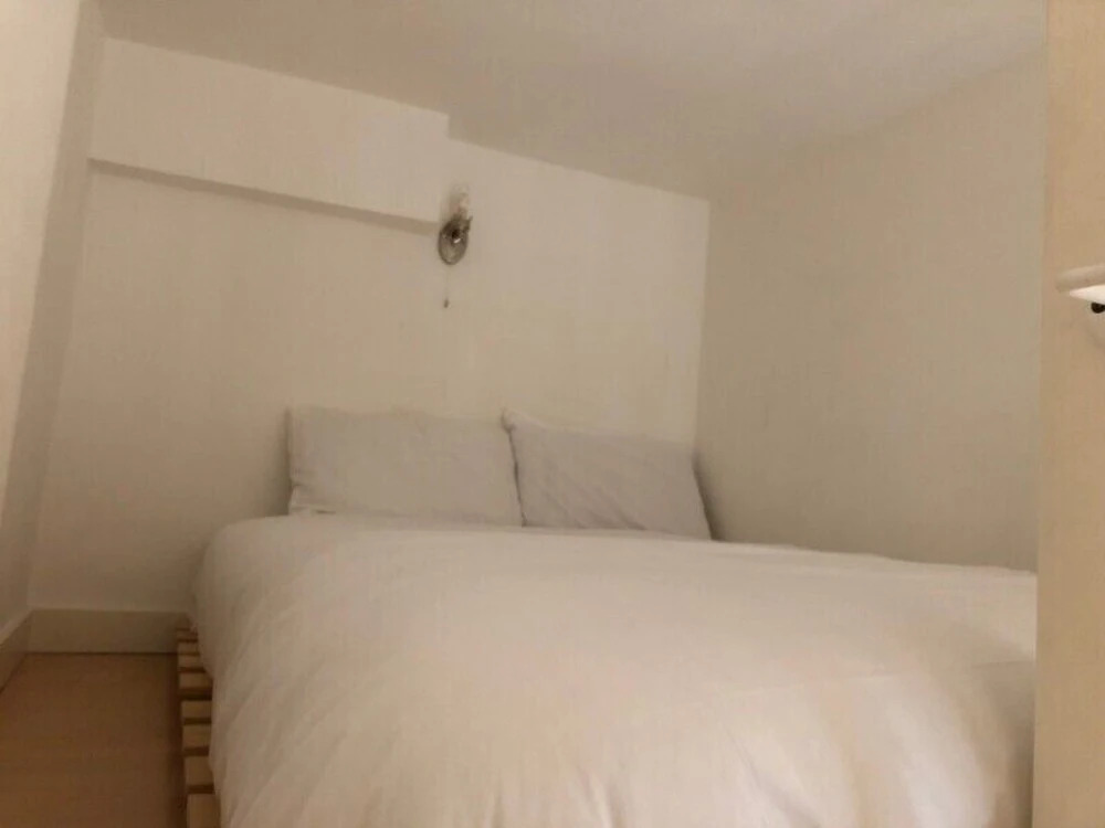 HFS Studio Next To Hydepark L9