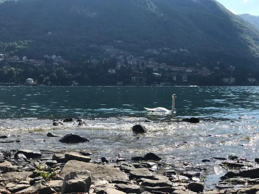 Carate 16 apartment with balcony & lake view