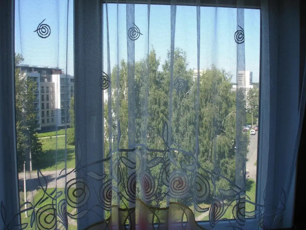 Riga Dzelzavas street apartment