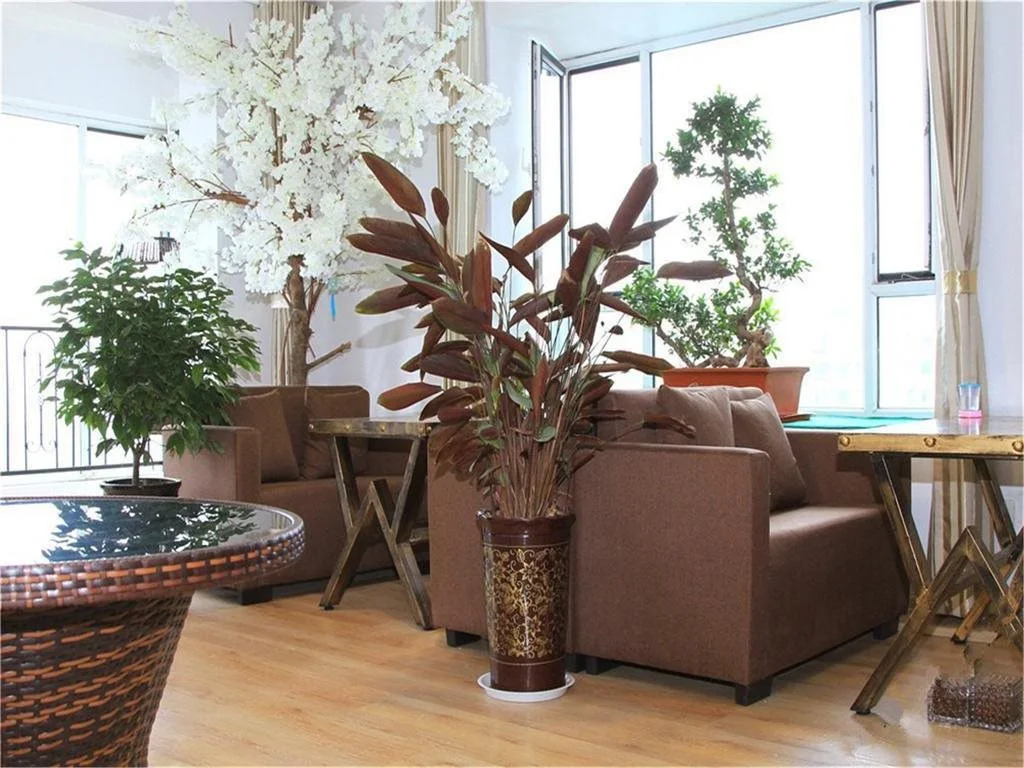 Yun Shang Jiangnan Hostel