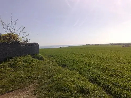 Seaview Cottage