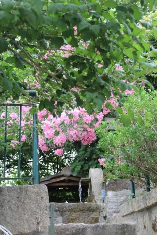Quinta do Pinheiral