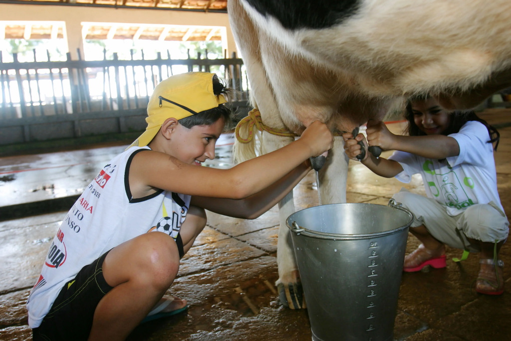 Estalagem Fazenda Lazer