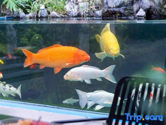 Xiamen island·Yinhuajing Holiday Homestay (Xinglinwan Vankeli Branch)