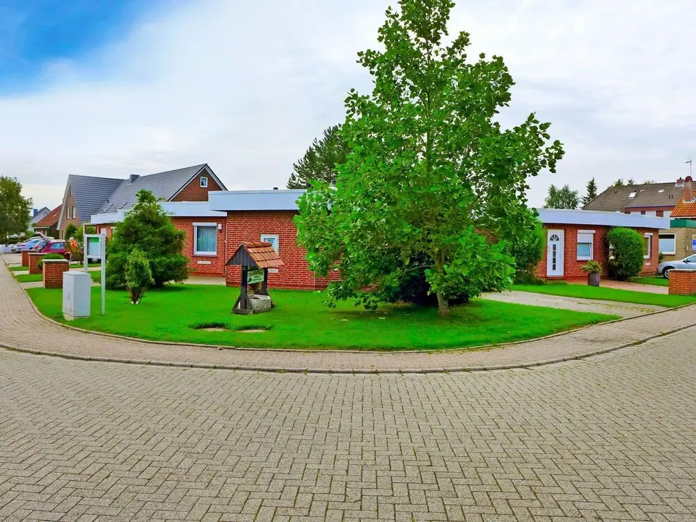 Herzmuschel Norden in Norden