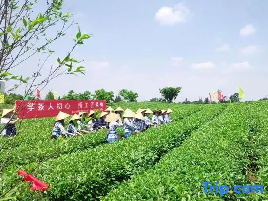 Yehou Qi Homestay (Yaan Mengding Mountain Town Branch)