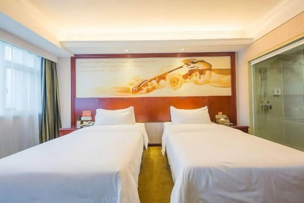 Vienna Hotel (Ji'an Railway Station)