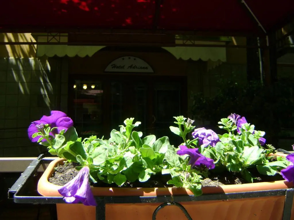 Hotel Adriana