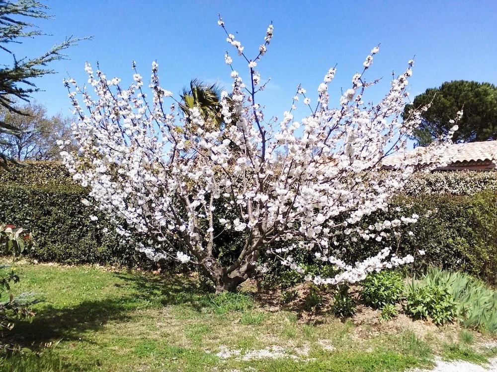 House With 3 Bedrooms in Castelnou, With Wonderful Mountain View, Priv