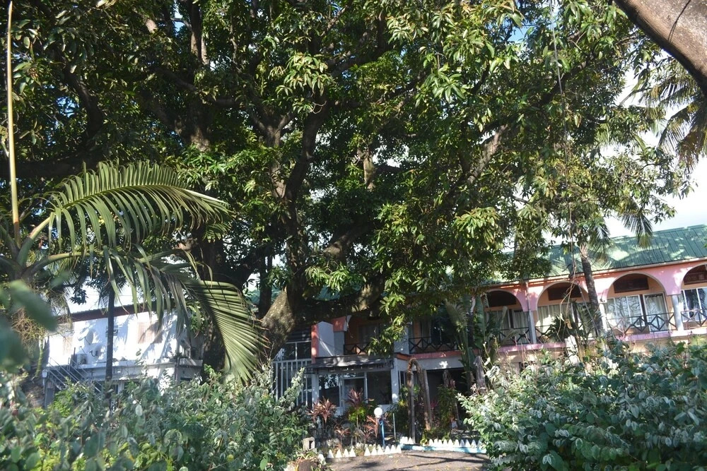 Hôtel Les Arcades