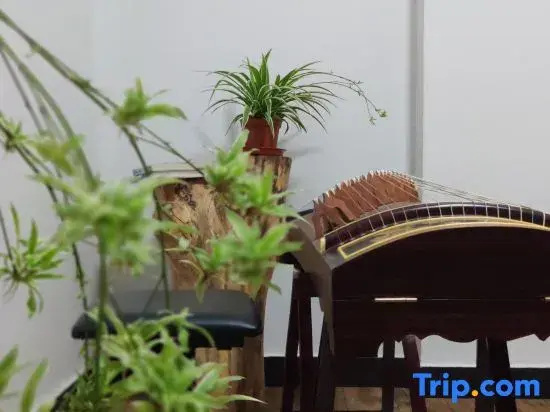 Wuyuan Mountain Water Boxing Homestay