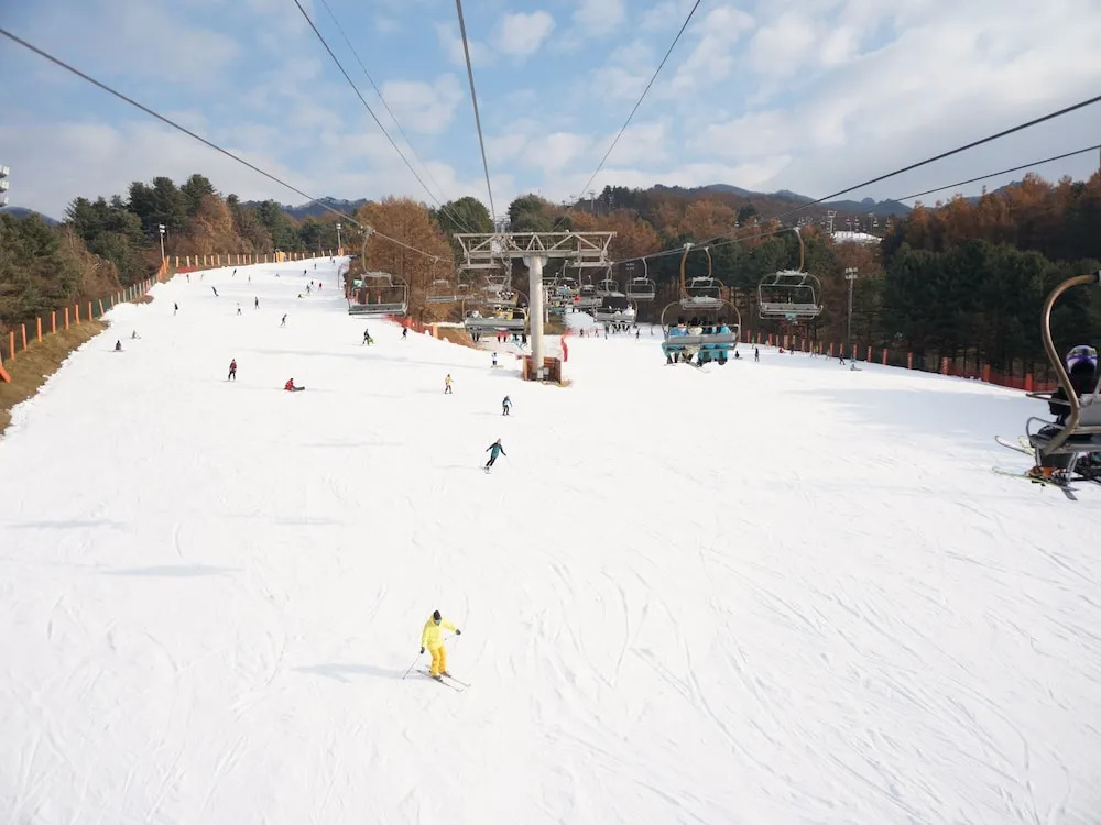 Bears Town Resort