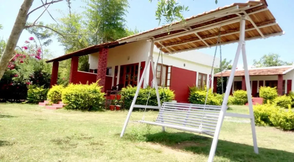 Safari land and guest house