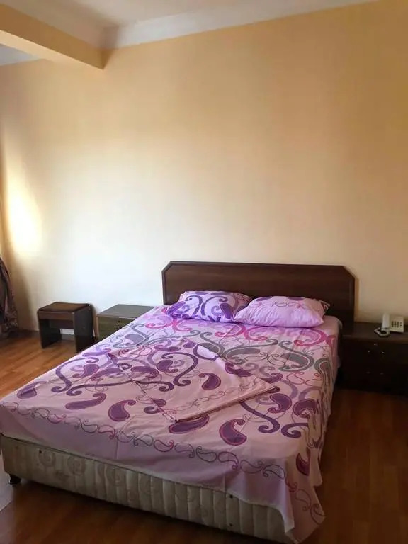 Hotel Ankara
