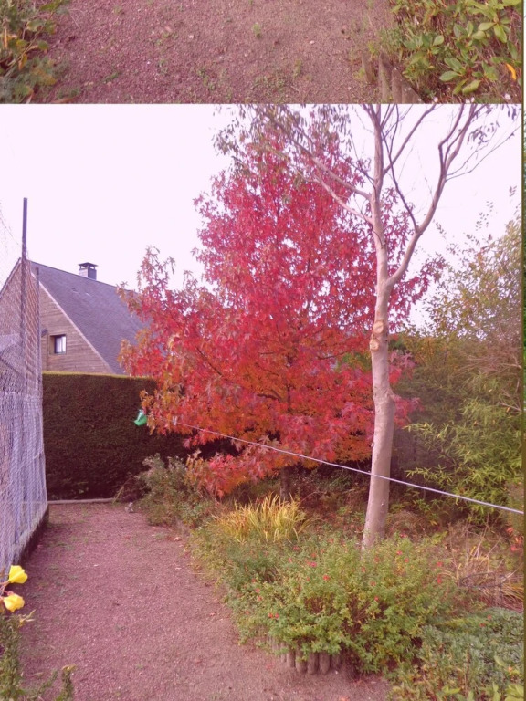 House With 3 Bedrooms in Agon-coutainville, With Furnished Garden and