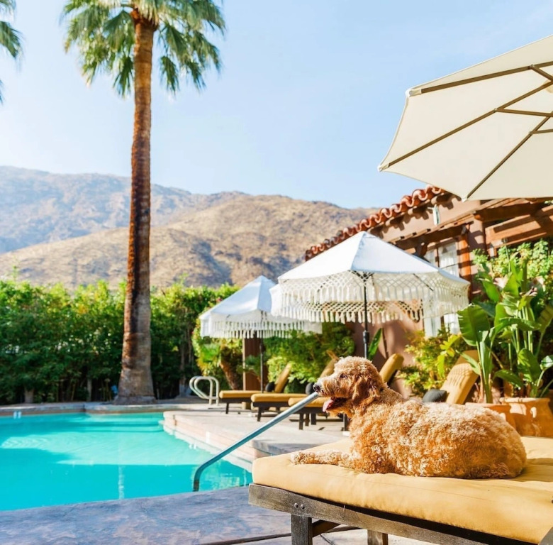 Talavera Palm Springs Hotel - 21 and Over