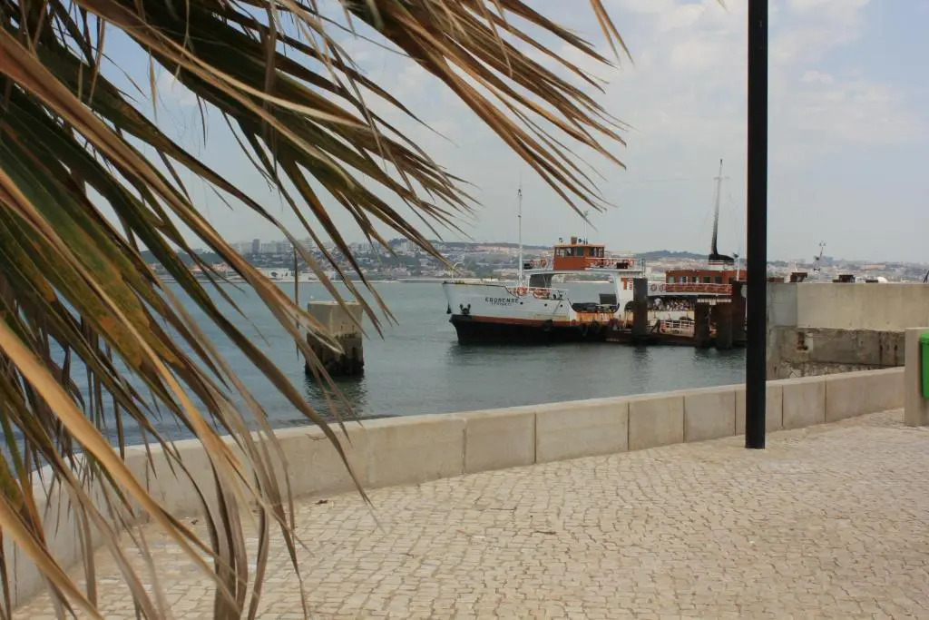 Pássaro do Fogo