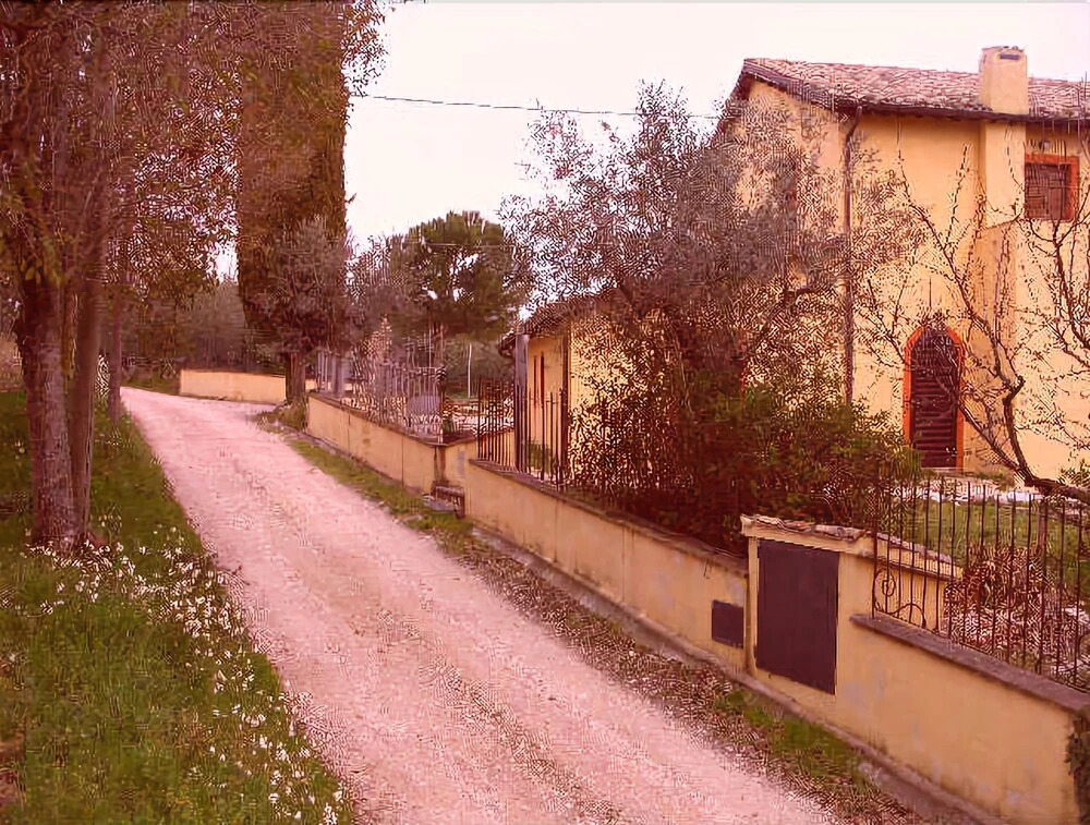 Il Grappolo E La Rosa
