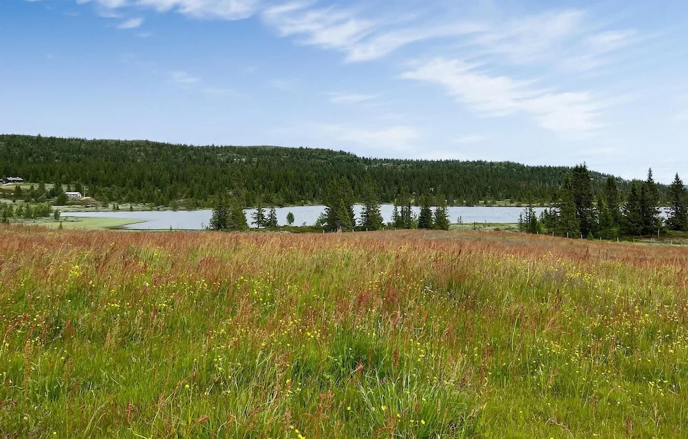 Gorgeous Home In Aurdal With Wifi
