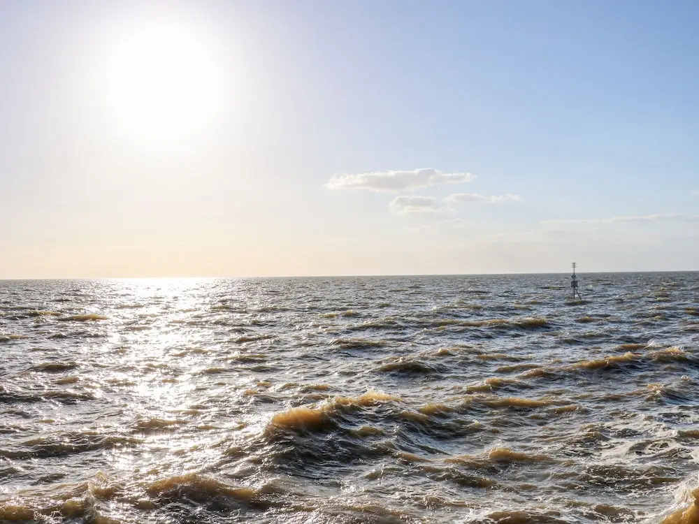 Sea Breeze