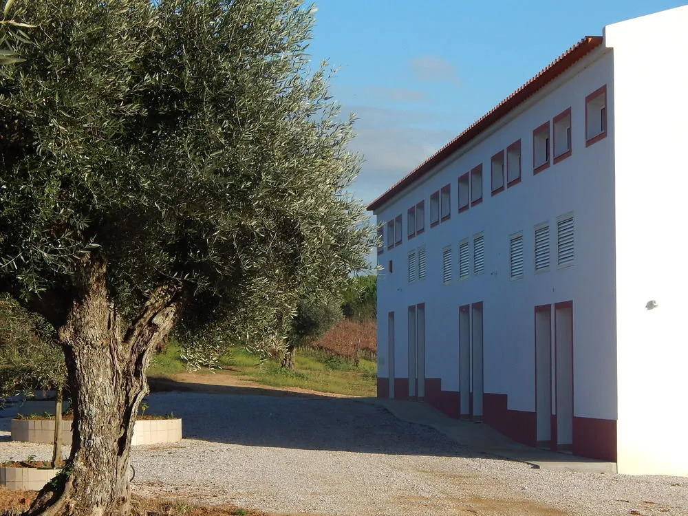 Quinta das Ratoeiras