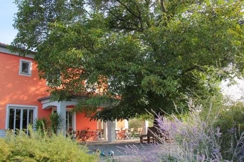 Weinhof am Nussbaum