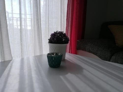 Apartments Laci