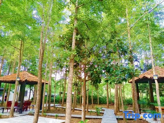 Xinyang Pingqiao Smile Inn