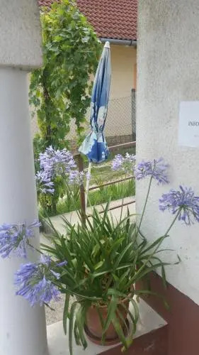 Zsoli Vendégház