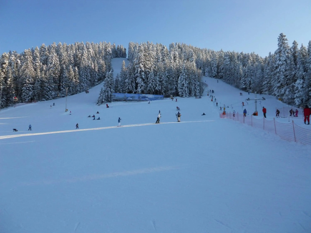 Flora Ski-slope Studio Apartment