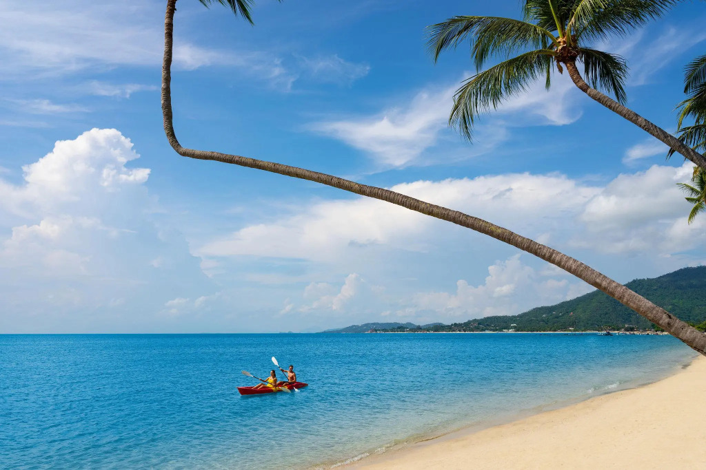 The Lamai Samui
