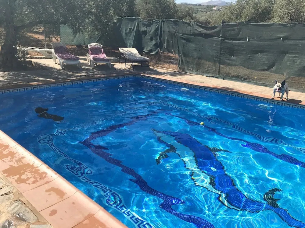 La casita
