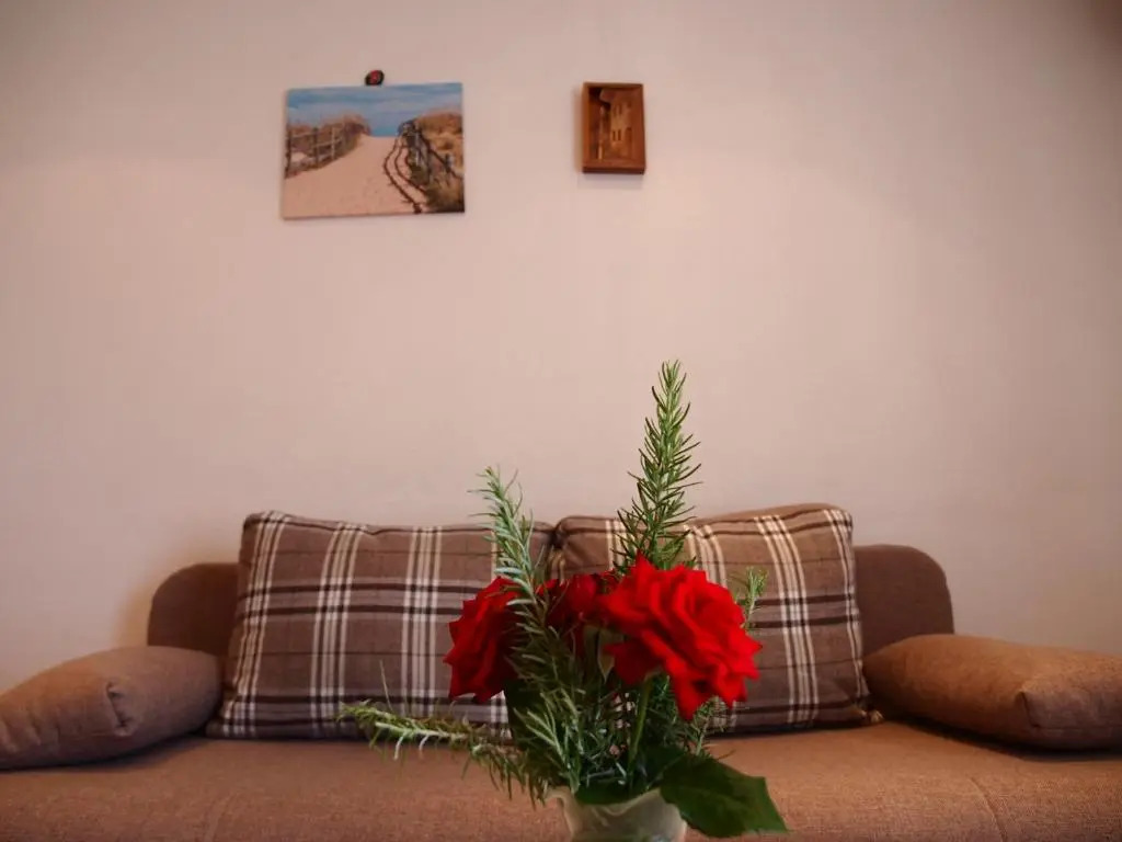 Apartmani Isabella