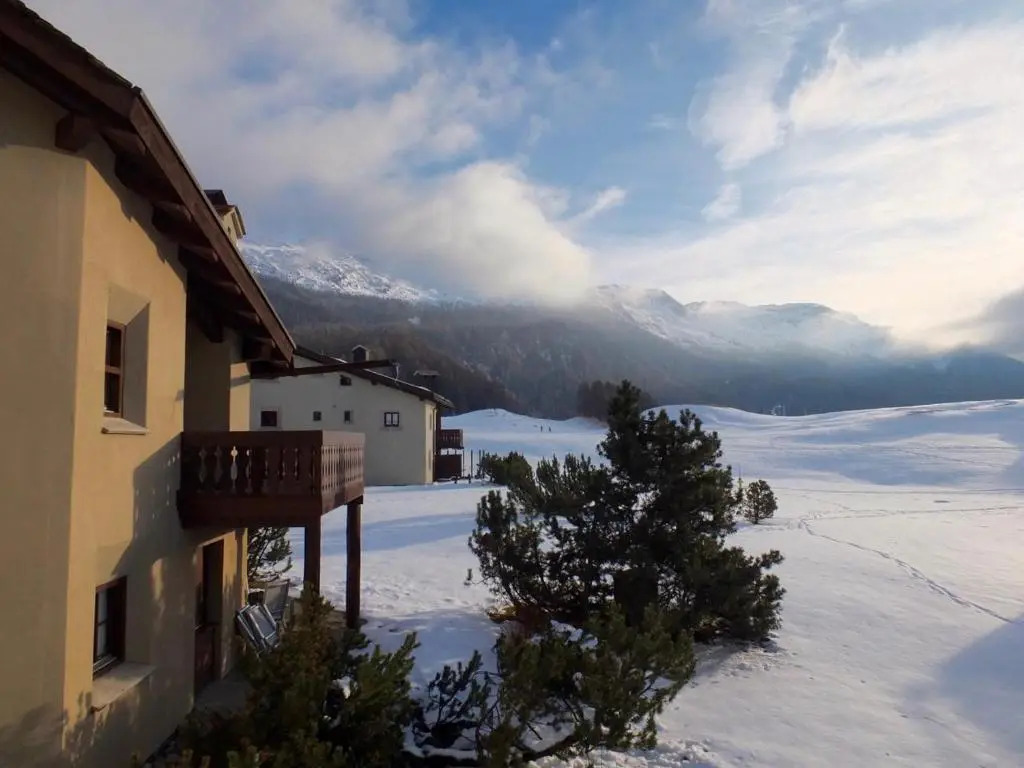 Crest Alta 23